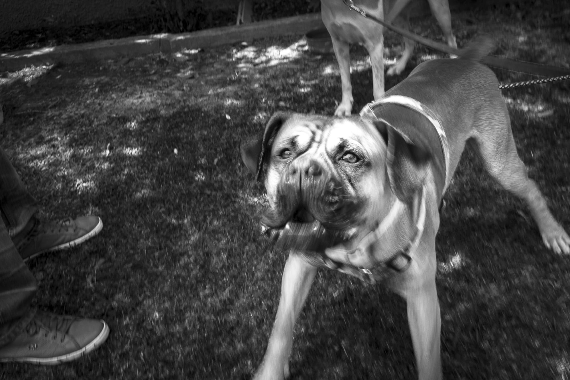 We really need to stop blaming voters for the far right’s success