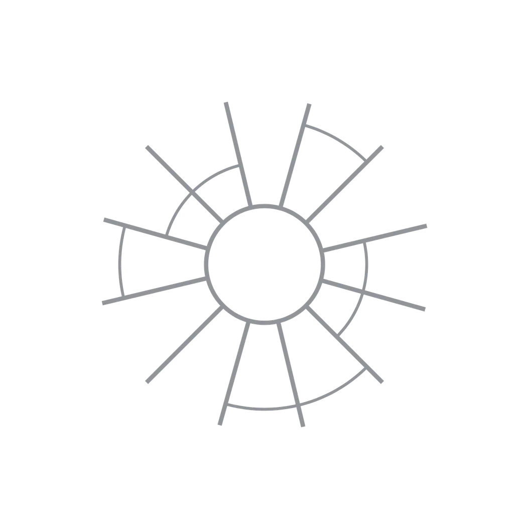 e06: Disruptive protest