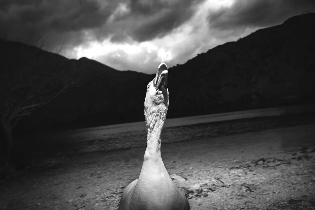 Trump 2.0: What Activists Must Do Differently This Time