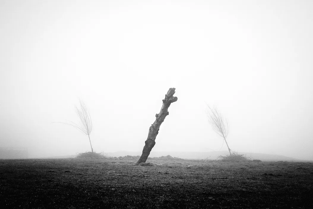 The German Template for Silencing Dissent